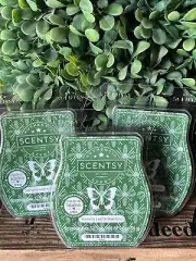 Scentsy Banana Leaf & Bamboo Lot Of 3 Wax Bars New Scent