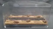 HO SCALE 9" SINGLE TRACK DISPLAY CASE-"DESERT SCENE" -FOR ANY HO TRAINS