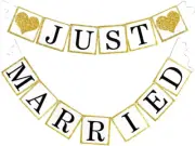 Wedding Banner Decorations Just Married Paper Wedding Garland Supplies Proposal