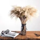 Plants For Wedding Reed Holiday Pampas Grass Dried Flower Phragmites Home Decor