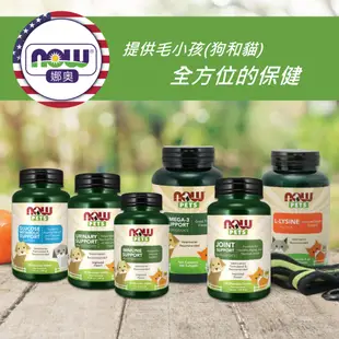 【NOW 娜奧】Now Foods 貓用L-離胺酸粉227g~4450~(L-Lysine/不含麩質/貓離胺酸)多件優惠