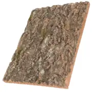 Bark Background Decoration Reptile Tree Turtle Tank Basking Platforms
