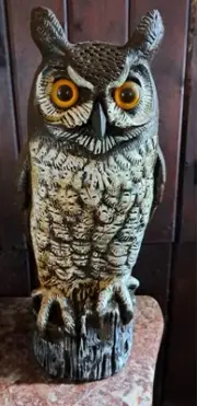 Theremin Synthesizer Drone Owl Psychedelic