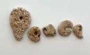 Naturally Letter Shaped PEACE Rocks Beach Stones pebble art craft hag holey US