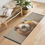 QGBYMX Washable Runner Rug Beaver Watercolor Cute 2’ x 6’ Non Slip Kitchen Runner Rug for Hallways Entryway Patio Living Room Floor Carpet Runner- Soft Thin Mat for Family Pet