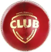 SG New Club 100% Original Leather Cricket Ball World Cup Match Sports