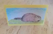 Handmade Groundhog greeting card with envelope (blank message)