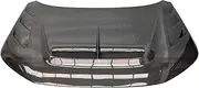 Hood Scoops for Cars， Compatible for Honda Type R FL5 YISO Modified Carbon Brazing Machine Cover Open Hole Hood Model Engine Cover(Carbon Fiber Pattern)