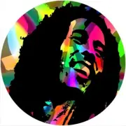Slipmat Scratch Pad Felt for any 12" Turntable LP DJ Record Player Bob MARLEY