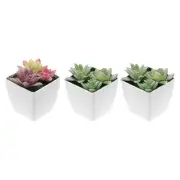 Artificial Succulents Set, 3Pcs Artificial Plant in Square Pot, Colored