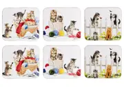 Ashdene Kitten Adventures - Coaster 6 Pack