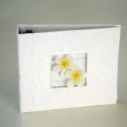 Frangipani DVD CD Disc Storage Album Cream Mulberry paper with Frangipani's - Ho