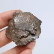 65g Gebel Kamil iron meteorite, from Egypt, Space Gift, meteorite, specimen R858