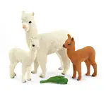 動物模型 史萊奇SCHLEICH 42544 羊駝全家福 草泥馬全家福