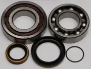 All Balls Crankshaft Bearing and Seal Kit 24-1098