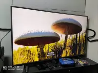 在飛比找Yahoo!奇摩拍賣優惠-瑕疵中間有線條 LG 60UH615T 60吋液晶電視 4K