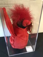 TY Beanie Baby “Mac” The Cardinal – Rare with 4 Errors Retired COLLECTABLE NEW!