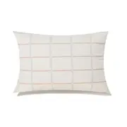 Edward Blue And Beige Checks With Feather Down Insert Pillow