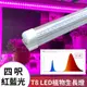 君沛 植物燈 LED 紅藍混光光譜 T8 4呎 燈管 一體式鋁合金散熱器 植物生長燈