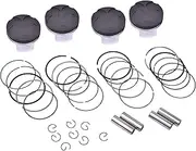 4set STD +25 +50 +75 +100 67mm 67.25mm 67.5mm 67.75mm 68mm Motorcycle Piston & Ring Kit For CBR600RR CBR600 RR ABS F5 2023(67mm)