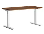 Lazy Maisons Trio 150cm Standing Desk - Walnut Top
