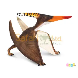 [美國Safari] 100301 無齒翼龍模型