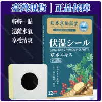 在飛比找蝦皮購物優惠-BeautyDelivery🎁｜臺灣現貨❤️日本京都製藥懶人