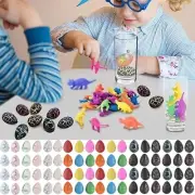 60 Pack Dinosaur Eggs Hatching Egg Grow In Water Crack With Assorted Color