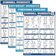 Palace Learning 4 Pack - Dumbbell Workouts + Bodyweight Workouts + Stretching Exercises + Dumbbell Vol 2 - Set of 4 Workout Charts (18” x 24”, LAMINATED)