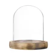 Cloche Glass Dome, 3.9"x3.1" Glass Display Case with Wooden Base [Burnt]