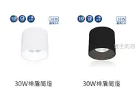 在飛比找Yahoo奇摩購物中心優惠-【燈王的店】舞光 LED 30W 筒燈 白框/黑框 36° 