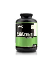 OPTIMUM NUTRITION CREATINE MONOHYDRATE UNFLAVOURED