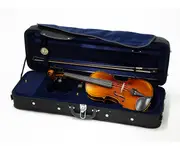 Raggetti RV5 Violin Outfit in Case -1/32