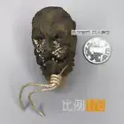 DAFTOYS 1/6 Scale Scarecrow Head Sculpt B Model for 12'' Action Figures