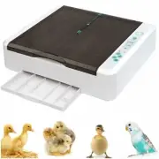 36 Egg Incubator Temperature & Humidity Display Automatic Turning Digital LED