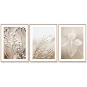 50Cmx70cm Dried Flower 3 Sets Wood Frame Canvas Wall Art