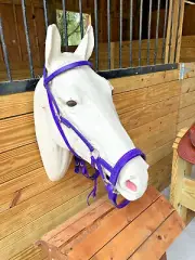 PURPLE Biothane Synthetic Western Bridle Sidepull Reins Buckle Ends DRAFT HORSE