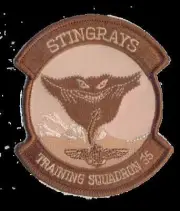 NAVY VT-35 STINGRAYS TRAINING WING SQUADRON TAN HOOK & LOOP EMBROIDERED PATCH