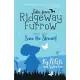 Tales From Ridgeway Furrow: Book 1 - Save The Stream!: A chapter book for 7-10 year olds.