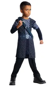Rubies The Hobbit Lord Of The Rings Thorin Deluxe Kids Dress Up Costume