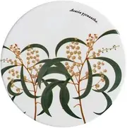 Maxwell & Williams Royal Botanic Gardens Australian Botanics Ceramic Round Coaster 9.5cm Wattle