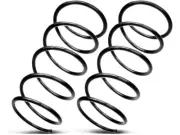 Front Autopart Premium Coil Spring Set fits Honda Pilot 2006-2008 3.5L V6 86PQCG (for: Honda)