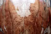 Curly spalted ink line ambrosia maple drop top .23" thk bass guitar luthier 2287