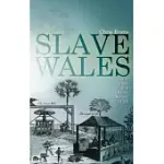 SLAVE WALES: THE WELSH AND ATLANTIC SLAVERY, 1660-1850