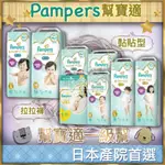 【現貨快速出貨】PAMPERS幫寶適 一級幫 尿布 幫寶適拉拉褲 幫寶適黏貼型