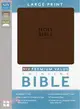 Holy Bible ― New International Version, Chocolate, Italian Duo-Tone Premium Value Thinline Bible