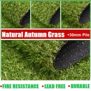 Artificial Grass Synthetic Turf Fake Lawn 30mm Pile Autumn grass -10SQM/Roll