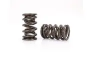 COMP Cams Valve Spring Endurance 1.564 in. OD Dual 1.900 in. Installed Height Set of 16
