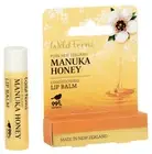 WILD FERNS◉Manuka Honey 80+ LIP BALM◉Vitamin E Beeswax◉4.2 g◉99% Natural◉Repair