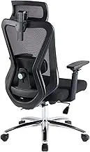 SPOFLYINN Ergonomic Home Office Chair High Back Swivel Mesh Desk Chair with Lumbar Support Liftable Armrest Adjustable 3D Headrest Lumbar for Office Black